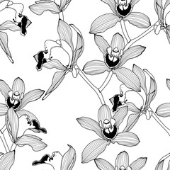 Seamless floral pattern with orchids Cymbidium, white line. Hand drawn illustration for fabric, wrapping, prints and other design. - obrazy, fototapety, plakaty