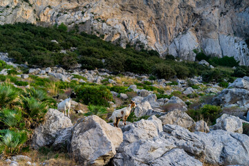 rocks in the mountains