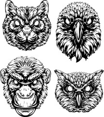 Black and white hand drawn face of monkey, cat, owl, crow. Vector illustration mascot art.