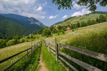 Fototapeta na wymiar Beautiful rural hilly landscape in the spring, wooden fence along the pathway leading through the grassy hills covered with many flowers, high mountains background, sunny day, fluffy clouds, blue sky