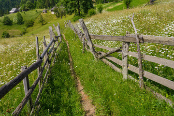 Fototapeta na wymiar Beautiful rural hilly landscape in the spring, wooden fence along the pathway leading through the grassy hills covered with many flowers. Natural landscape from the Romanian Carpathians. Environment