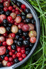 Close Up Gartenfrüchte im Sommer