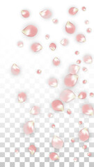 Pink Vector Realistic Petals Falling on Transparent Background.  Spring Romantic Flowers Illustration. Flying Petals. Sakura Spa Design. Blossom Confetti. Design Elements for Wedding Decoration.