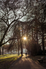 Spazieren im winterlichen Stadtpark bei tiefstehender Sonne.