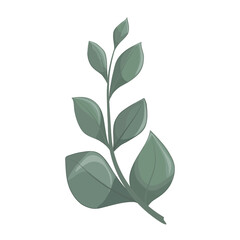Art watercolor natural branches leave elements. Vector illustration
