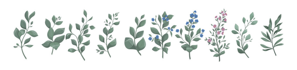 Art watercolor natural branches leave elements. Vector illustration