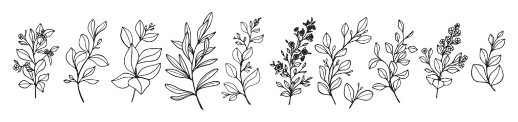 Art's natural branches leave elements. Vector illustration