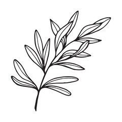 Art's natural branches leave elements. Vector illustration