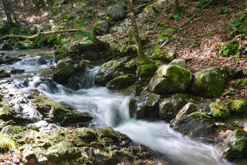 Naklejka na ściany i meble waterfall in germany with nature