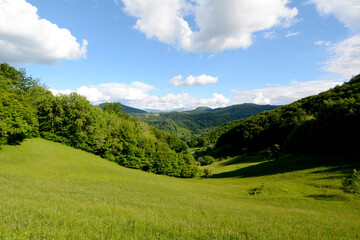 Fototapeta na wymiar Panorama of beautiful countryside sunny afternoon. Wonderful springtime landscape in mountains. grassy field and rolling hills. rural scenery