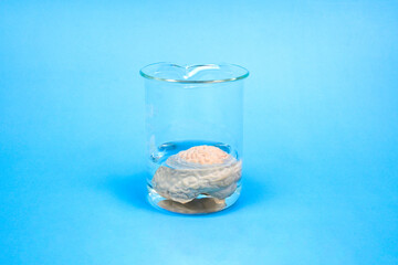 Brain under water, subconscious mind influences most powerful inner forces which drive human behavior, influences to lifemost compelling mental life and brainstorming abstract idea.