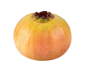 Syzygium jambos or rose apple isolated on transparent png