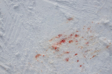traces de sang sur un sol enneigé, sur une piste de ski en plein hiver, illustrant les dangers des...