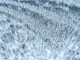 Aerial view of winter forest, snow covered trees. Winter landscape concept, beautiful view of winter forest recorded from drone. Drone view of the snowy forest.
