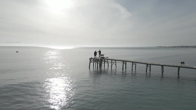 Personas andando con perros por el muelle de madera sobre el mar / video a&eacute;reo con drone dron (Dlog para edici&oacute;n de color profesional)
