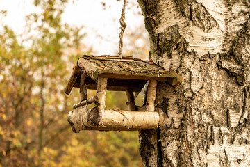 Bird feeder hanging on the birch branch