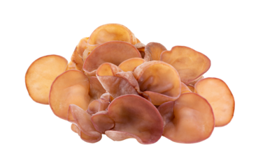 Jew's ear, Wood ear, Jelly ear isolated on transparent png