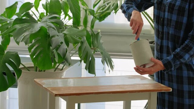 Woman is applying paint with paintbrush on wooden old table. DIY - Do It Yourself. Remodeling and renovation house by herself with diy techniques at home. Renovation, home improvement concept