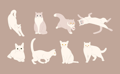 white cat cute 6 on a brown background, vector illustration.