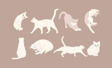 white cat cute 9 on a brown background, vector illustration.