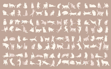 white cat cute collection 1 on a brown background, vector illustration.