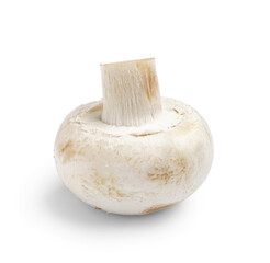 Raw champignon mushroom on white background