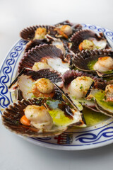 Scallopss in the shell is a local plate