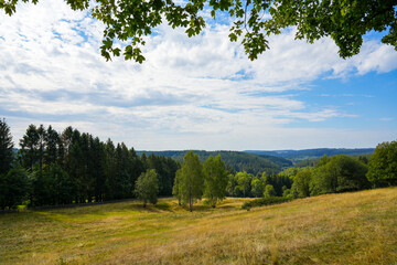 Obraz premium Nature near Clausthal-Zellerfeld. Landscape with hills in Harz Mountains with surrounding green nature and forests. 