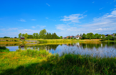 Fototapeta premium Nature at the Oberer Eschenbacher Teich near Clausthal-Zellerfeld. Landscape at the lake in the Harz Mountains with the surrounding green nature. 