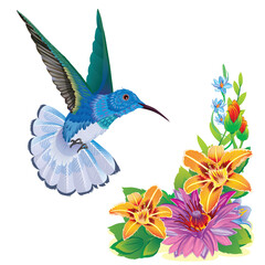 hummingbird bird flutters over a beautiful flower, isolated object on a white background, vector illustration,