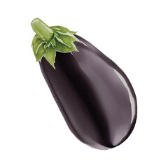 eggplant hand drawn with watercolor painting style illustration