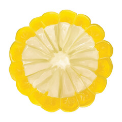 corn hand drawn with watercolor painting style illustration