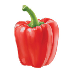 paprika hand drawn with watercolor painting style illustration