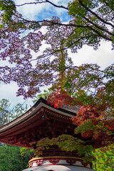 japanese temple in spring