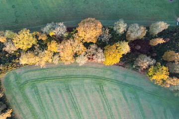 Aerial photo of hedgerow