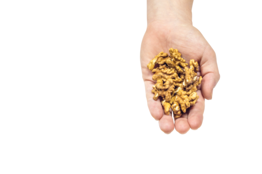 Hand Holding a bunch of Walnuts