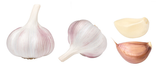 Isolated garlic, transparent png, collection, PNG format, cut out
