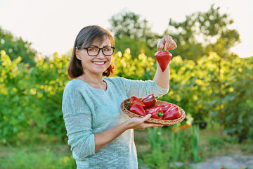 Middle aged woman with red paprika pepper harvest in wicker bowl, outdoor © Valerii Honcharuk