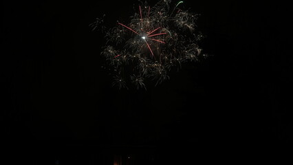 Fireworks in the night sky