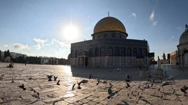 Pigeons at the Dome of the Rock, Jerusalem, Israel