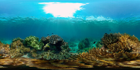 Fototapeta na wymiar Coral reef underwater with tropical fish. Hard and soft corals, underwater landscape. Tropical underwater sea fish. Philippines. Virtual Reality 360.