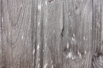 Gray wood texture and background, old wood texture, vertical timber planks