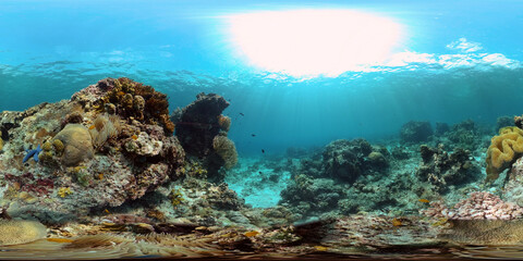 Underwater Scene Coral Reef. Coral Reefs Seascape. Underwater sea fish. Tropical fish reef marine. Philippines. Virtual Reality 360.