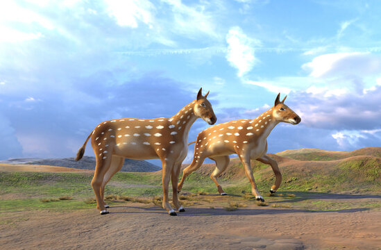 Pair of Eohippus (ancestors of the horse)