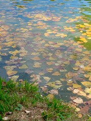 Colori autunnali nel lago