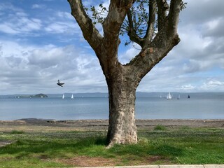 Lago di bolsena
