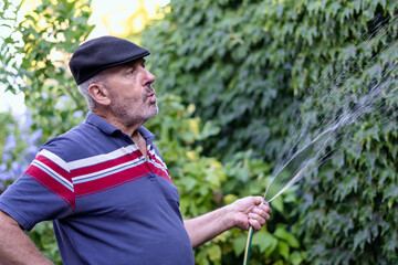 Mature retired man whistles while watering his green garden at home.