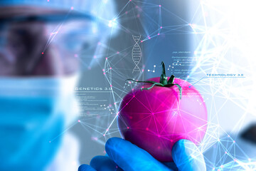 genetica, cibo, ricerca scientifica, ogm, alimentazione	
