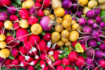 Fresh colourful radish on a local market selling regional organic food - obrazy, fototapety, plakaty
