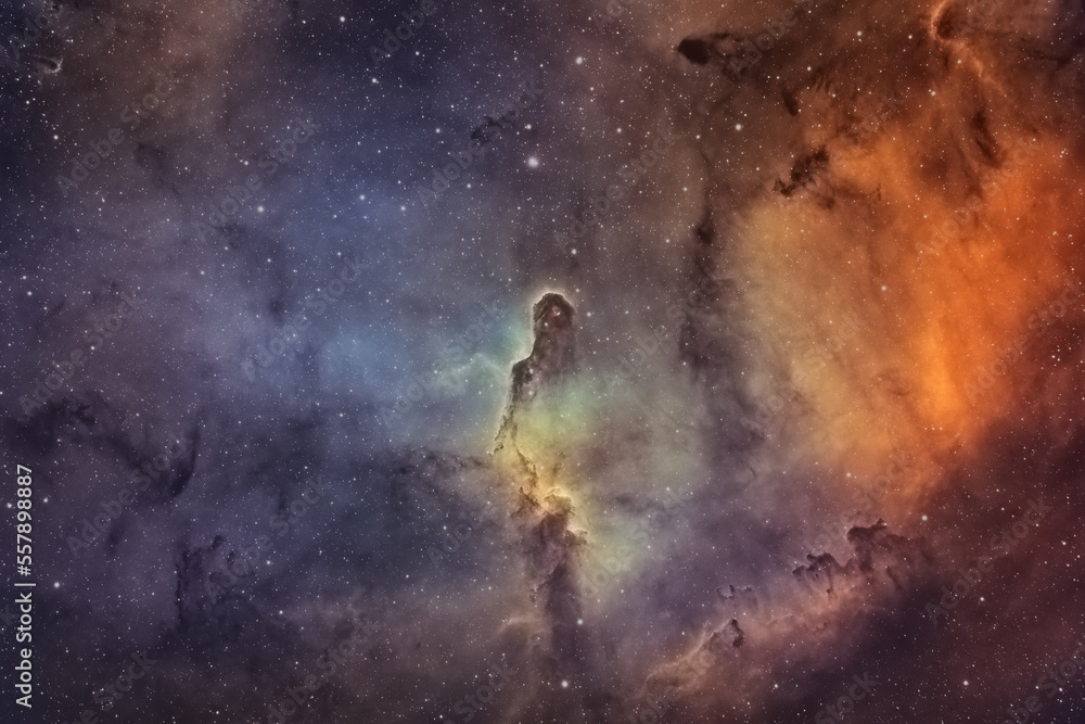 Canvas Prints elephant's trunk nebula deep sky object